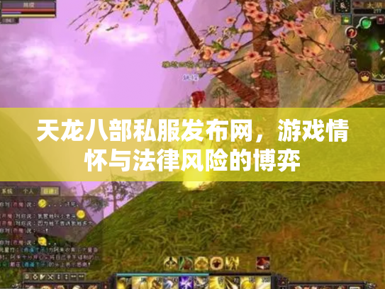 天龙八部私服发布网，游戏情怀与法律风险的博弈