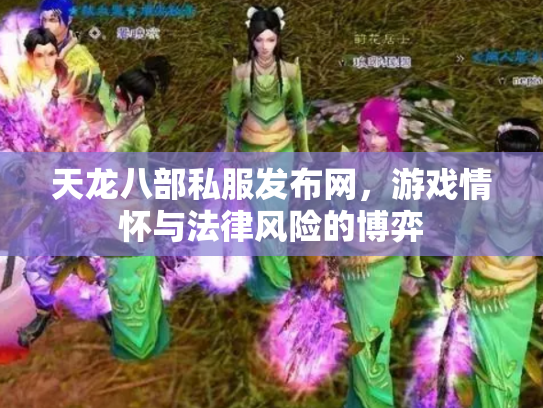 天龙八部私服发布网，游戏情怀与法律风险的博弈