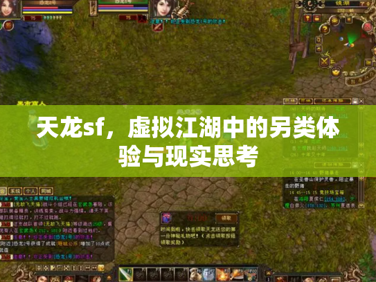 天龙sf，虚拟江湖中的另类体验与现实思考