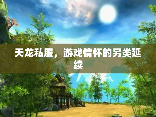 天龙私服，游戏情怀的另类延续