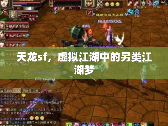 天龙sf，虚拟江湖中的另类江湖梦