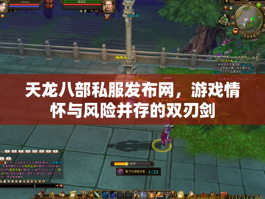 天龙八部私服发布网，游戏情怀与风险并存的双刃剑