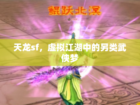 天龙sf，虚拟江湖中的另类武侠梦