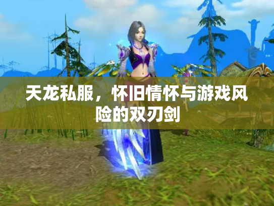 天龙私服，怀旧情怀与游戏风险的双刃剑