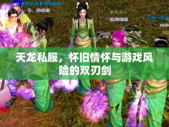 天龙私服，怀旧情怀与游戏风险的双刃剑