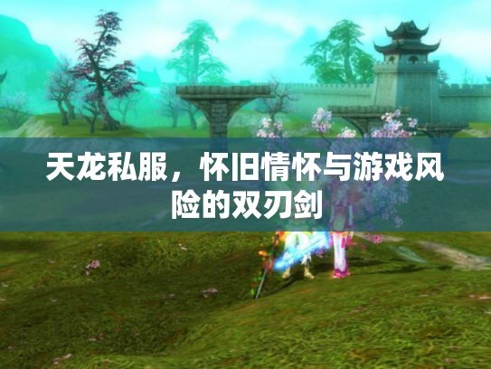天龙私服，怀旧情怀与游戏风险的双刃剑