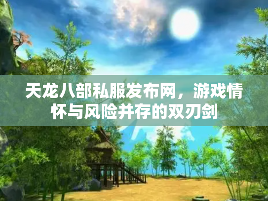 天龙八部私服发布网，游戏情怀与风险并存的双刃剑