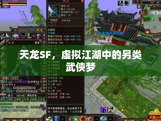天龙SF，虚拟江湖中的另类武侠梦