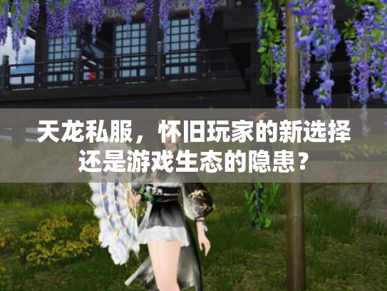 天龙私服，怀旧玩家的新选择还是游戏生态的隐患？