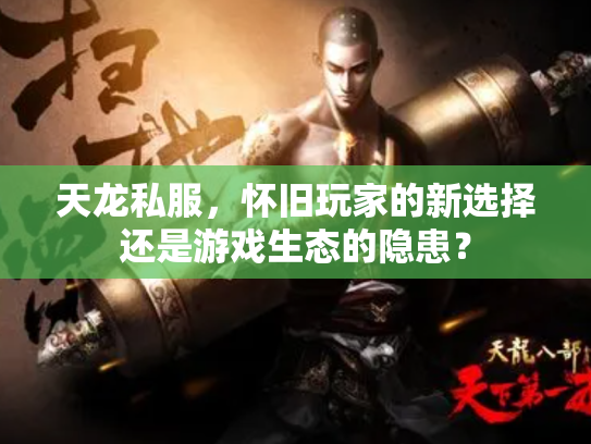 天龙私服，怀旧玩家的新选择还是游戏生态的隐患？