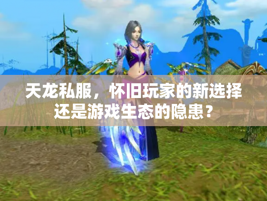 天龙私服，怀旧玩家的新选择还是游戏生态的隐患？