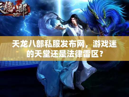 天龙八部私服发布网，游戏迷的天堂还是法律雷区？