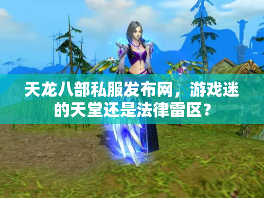 天龙八部私服发布网，游戏迷的天堂还是法律雷区？