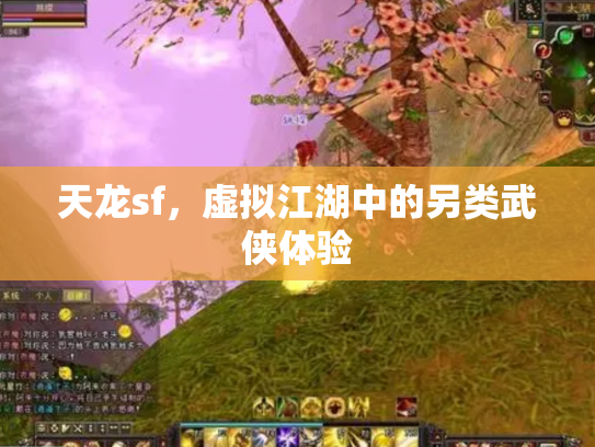 天龙sf，虚拟江湖中的另类武侠体验