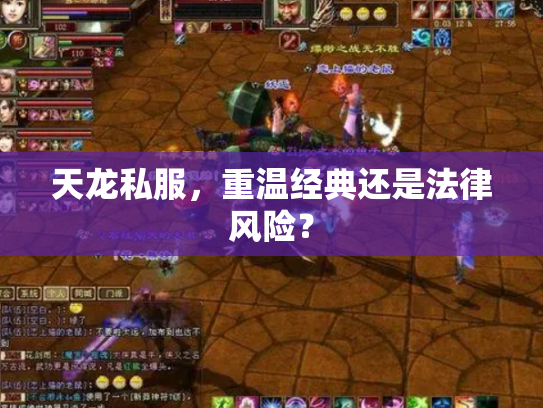 天龙私服，重温经典还是法律风险？