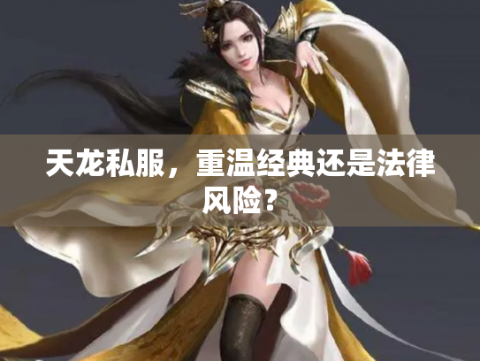 天龙私服，重温经典还是法律风险？
