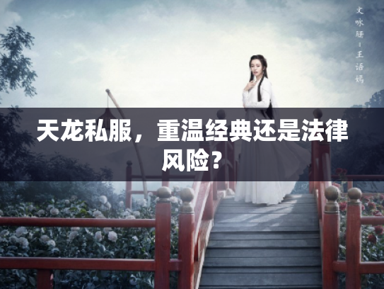天龙私服，重温经典还是法律风险？