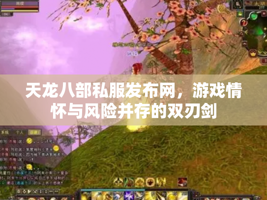 天龙八部私服发布网，游戏情怀与风险并存的双刃剑