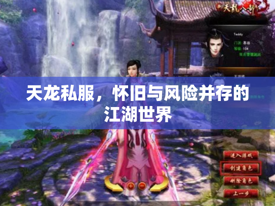 天龙私服，怀旧与风险并存的江湖世界