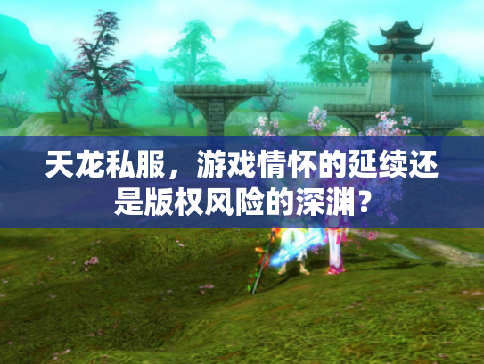 天龙私服，游戏情怀的延续还是版权风险的深渊？