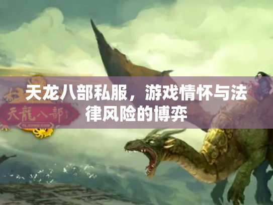 天龙八部私服，游戏情怀与法律风险的博弈