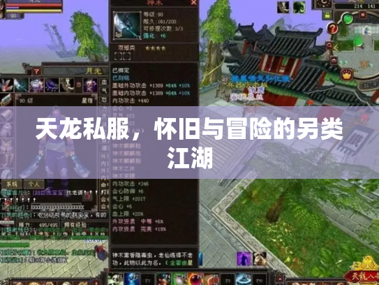 天龙私服，怀旧与冒险的另类江湖