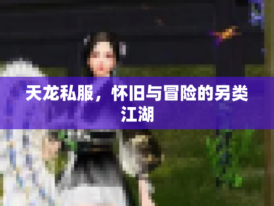 天龙私服，怀旧与冒险的另类江湖