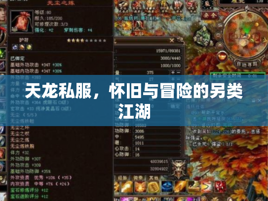 天龙私服，怀旧与冒险的另类江湖