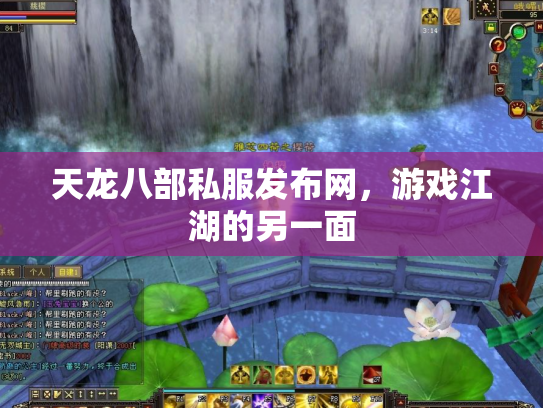 天龙八部私服发布网，游戏江湖的另一面
