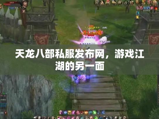 天龙八部私服发布网，游戏江湖的另一面