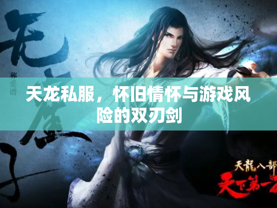 天龙私服，怀旧情怀与游戏风险的双刃剑