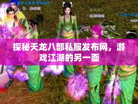 探秘天龙八部私服发布网，游戏江湖的另一面