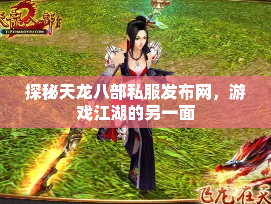 探秘天龙八部私服发布网，游戏江湖的另一面