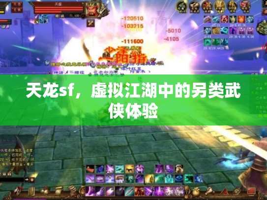 天龙sf，虚拟江湖中的另类武侠体验