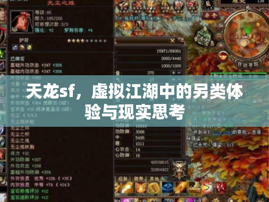 天龙sf，虚拟江湖中的另类体验与现实思考