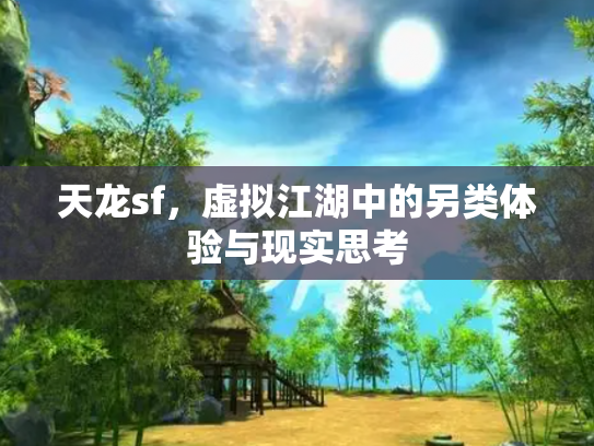 天龙sf，虚拟江湖中的另类体验与现实思考