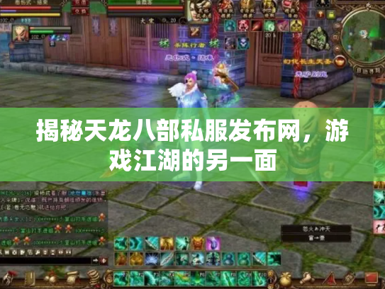 揭秘天龙八部私服发布网，游戏江湖的另一面