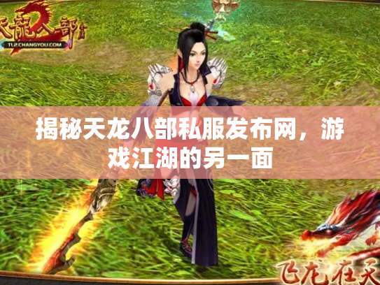 揭秘天龙八部私服发布网，游戏江湖的另一面