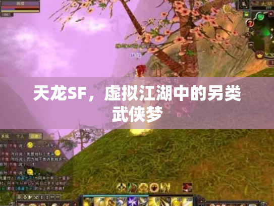 天龙SF，虚拟江湖中的另类武侠梦