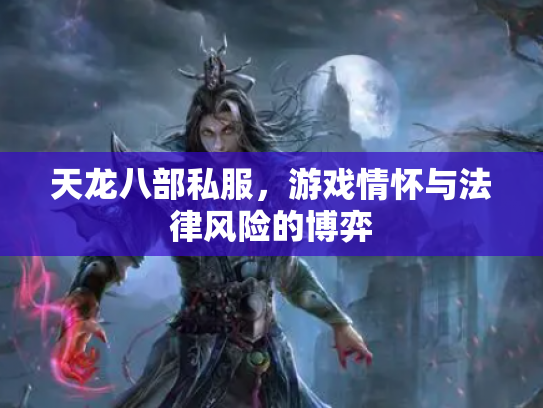 天龙八部私服，游戏情怀与法律风险的博弈