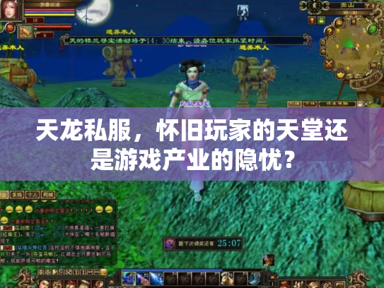 天龙私服，怀旧玩家的天堂还是游戏产业的隐忧？