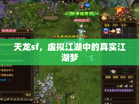 天龙sf，虚拟江湖中的真实江湖梦