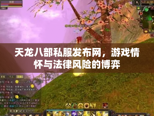 天龙八部私服发布网，游戏情怀与法律风险的博弈