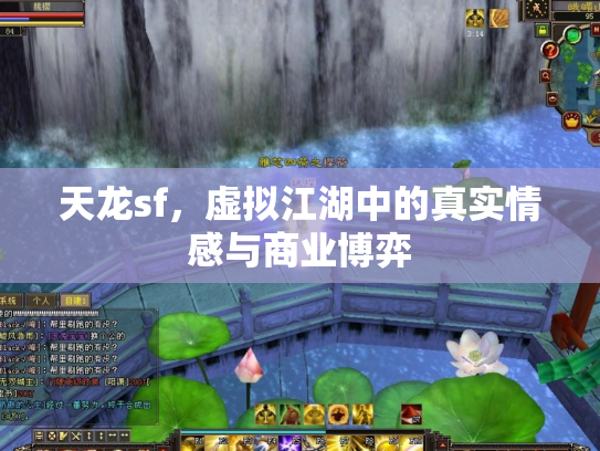 天龙sf，虚拟江湖中的真实情感与商业博弈