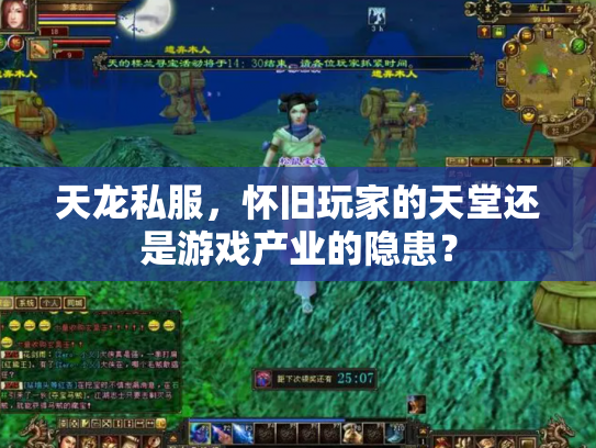 天龙私服，怀旧玩家的天堂还是游戏产业的隐患？