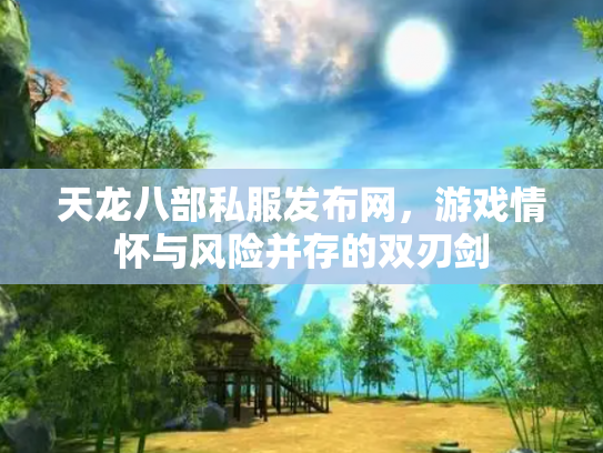 天龙八部私服发布网，游戏情怀与风险并存的双刃剑