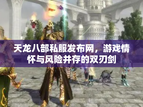 天龙八部私服发布网，游戏情怀与风险并存的双刃剑