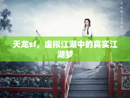 天龙sf，虚拟江湖中的真实江湖梦