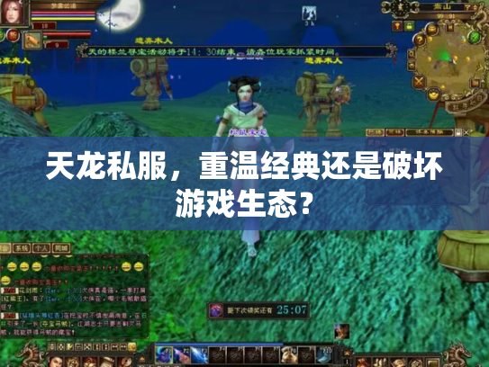 天龙私服，重温经典还是破坏游戏生态？