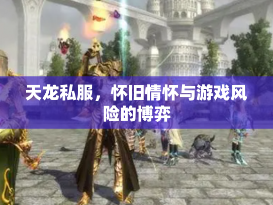 天龙私服，怀旧情怀与游戏风险的博弈